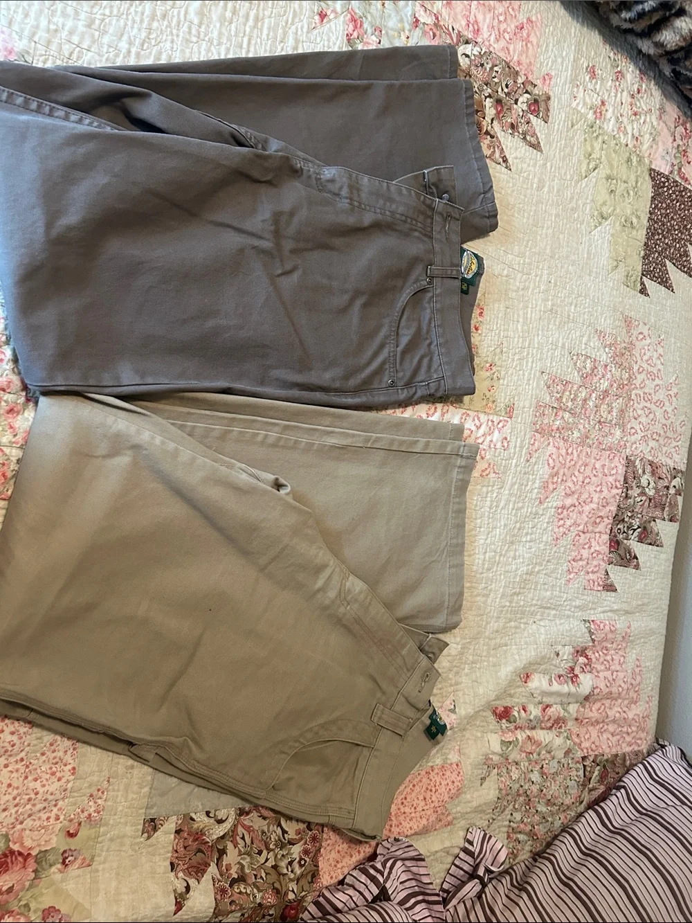Cabela's Men's Chino Pants in Brown and Tan 31 Waist
